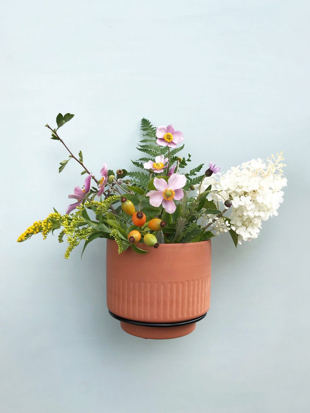 Stensko držalo za rastline / črno