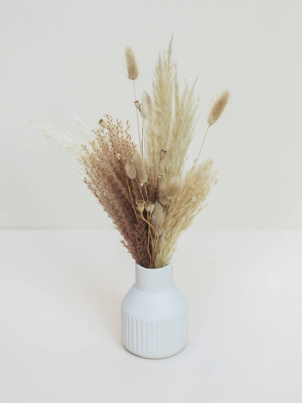 Šopek z vazo - Pampaslicious